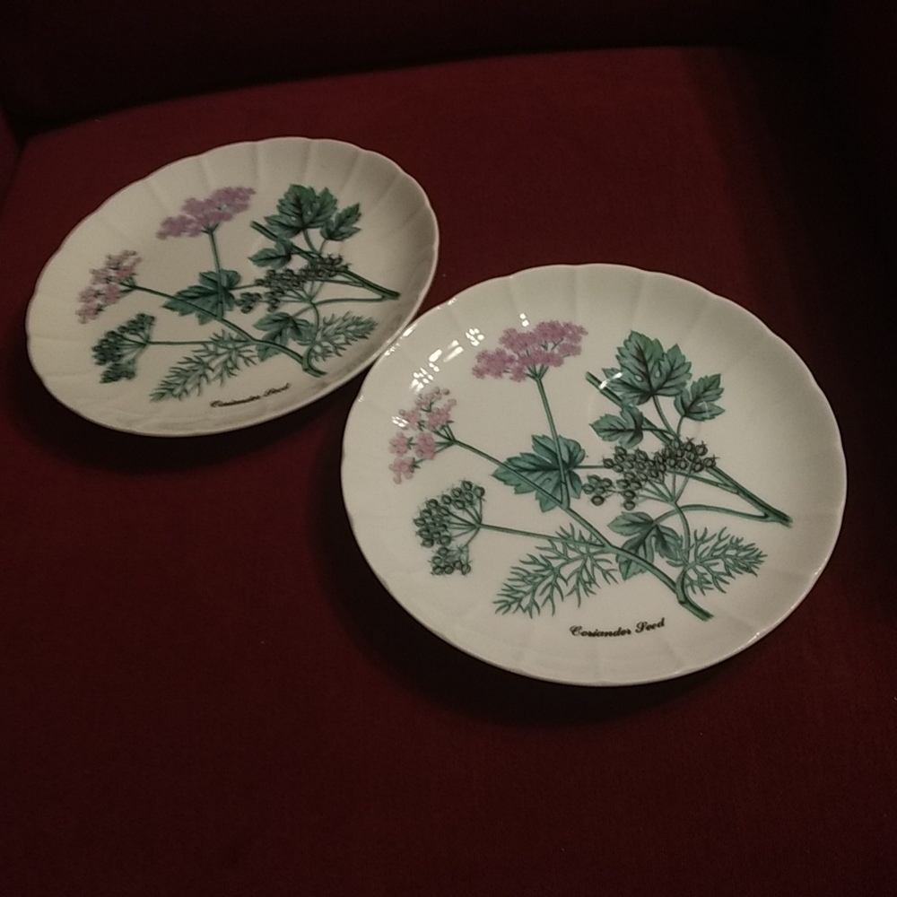 2 Vintage Shafford Coriander Seed Herb Luncheon Plates 8"